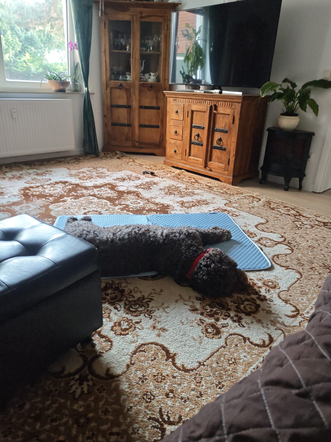 Customer photo review of Frostcore™ Cooling Mat 2 Pack