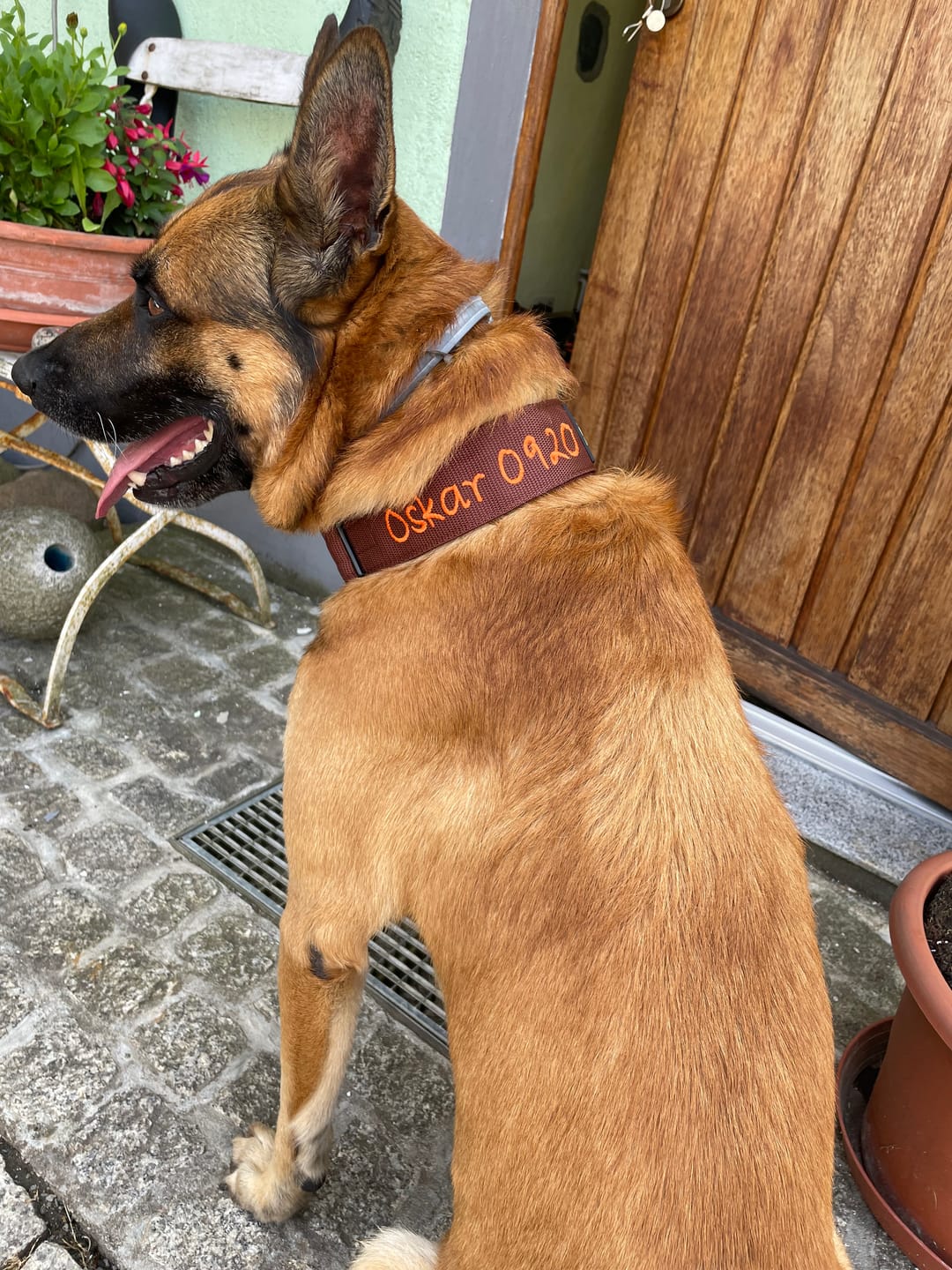 Customer photo review of Extreme Buckle med namn