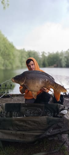 Customer photo review of 🎣 Pack Promo Duo – Tropical Tundra & Pepper Pulse (x3) – Édition Limitée