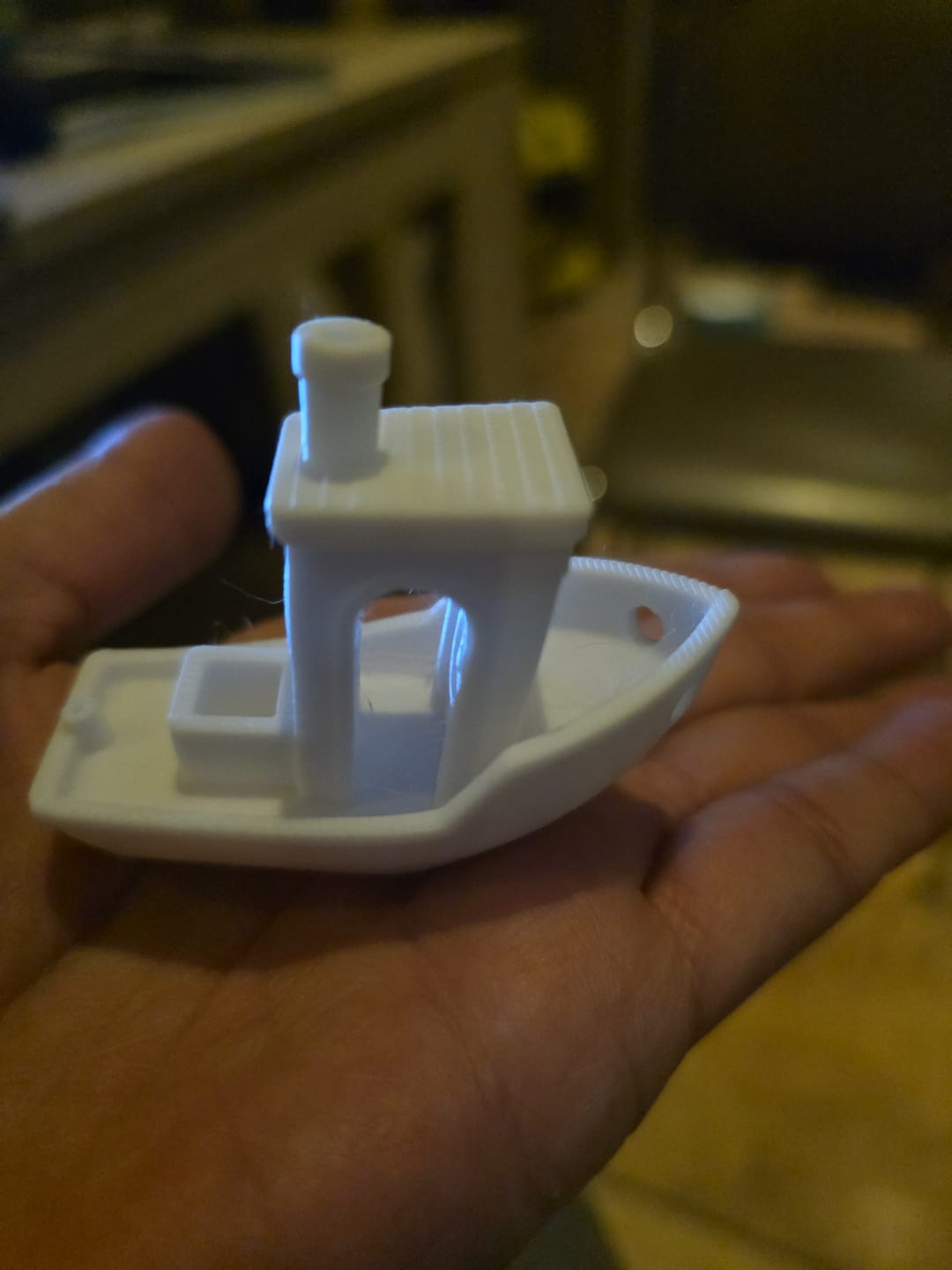 Customer photo review of PLA+