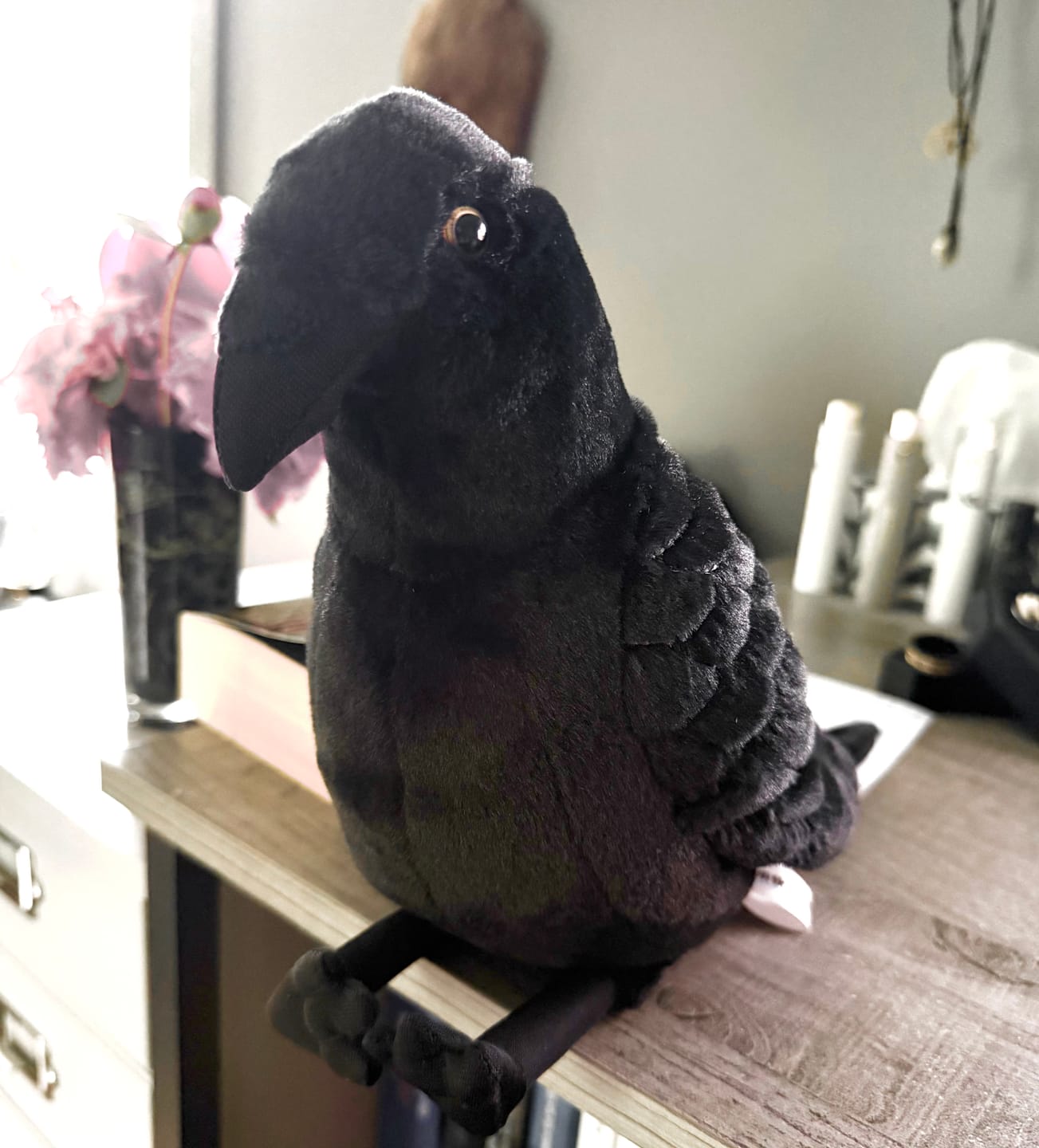 Customer photo review of American Crow Bird Soft Stuffed Plush Toy