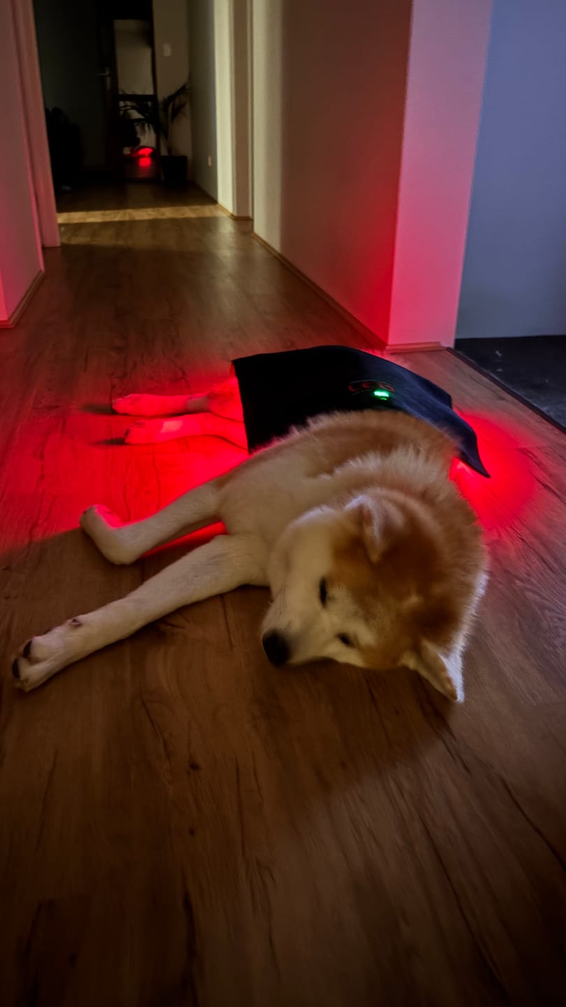 Customer photo review of Horseware LED Red Light Therapy Pad