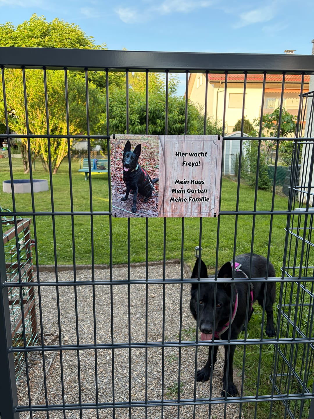 Customer photo review of Hunde-Türschild personalisiert mit Foto & Text (UV- und wetterfest)