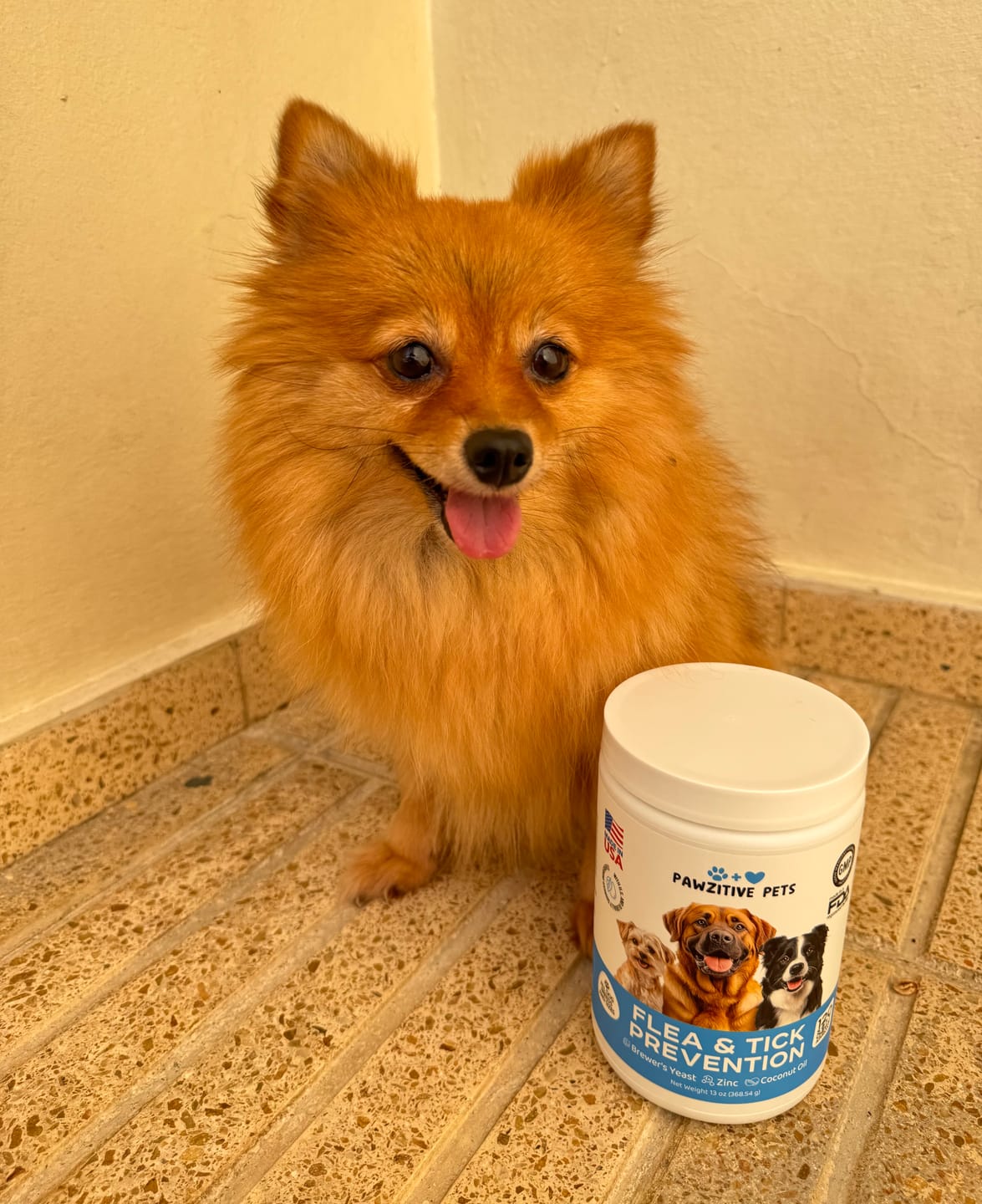 Customer photo review of Flea and Tick Prevention for Dogs – 120 Soft Chews