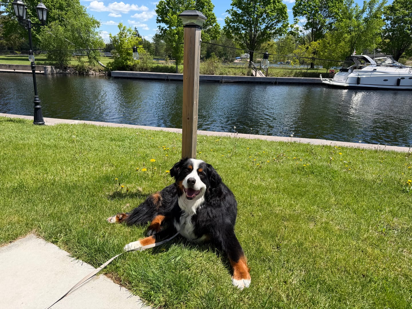 Customer photo review of 6 Inch Beef Jerky Stick