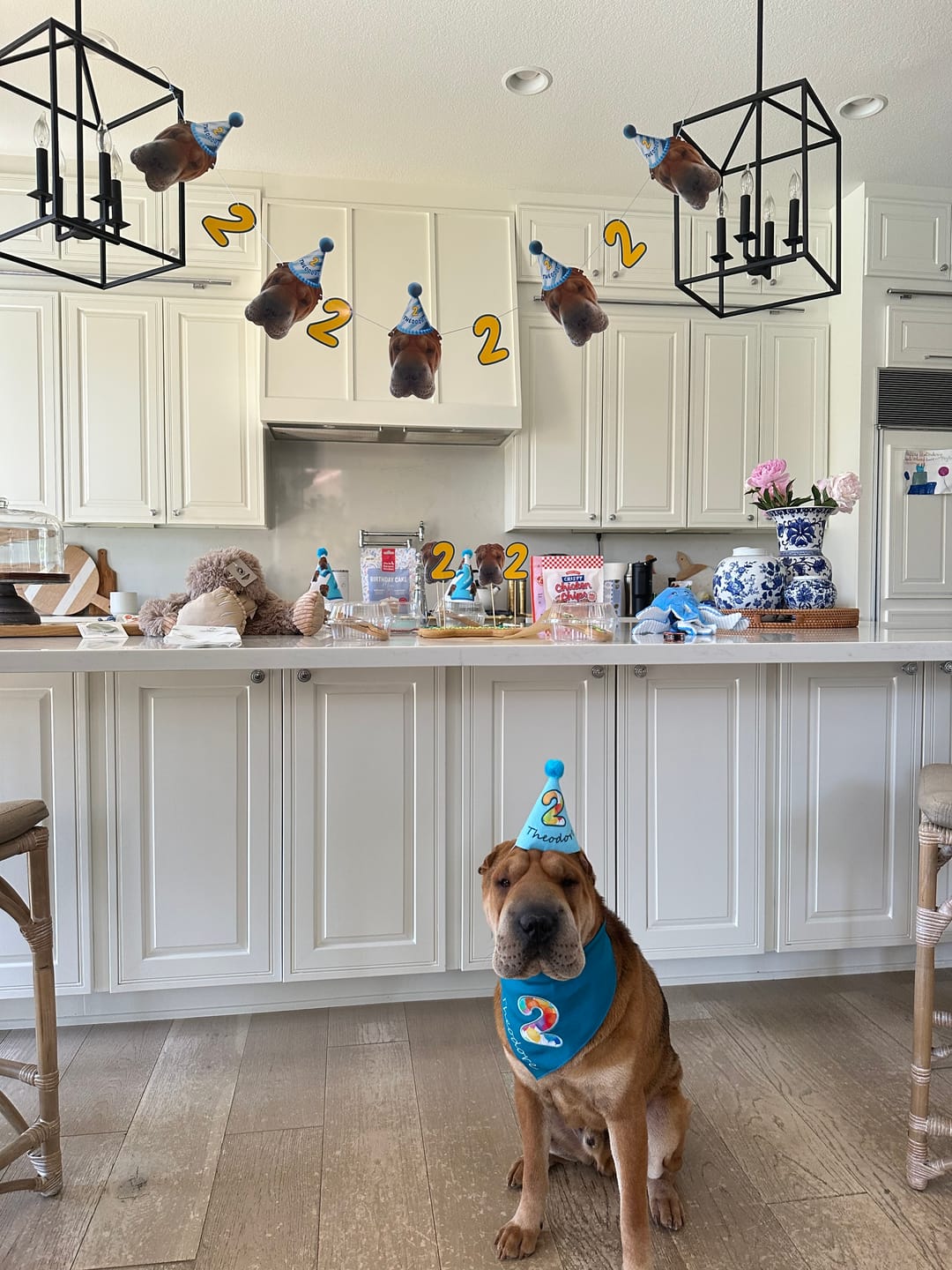Customer photo review of Standard Personalized Dog Party Pack