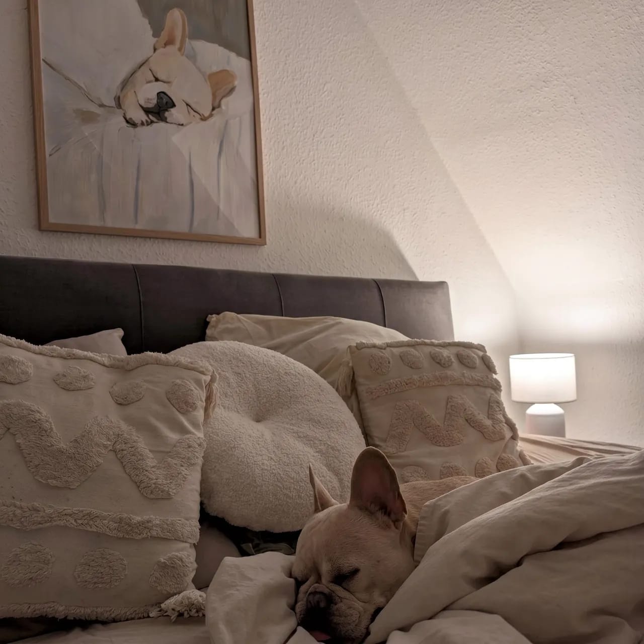 Customer photo review of French Bulldog Dog Print