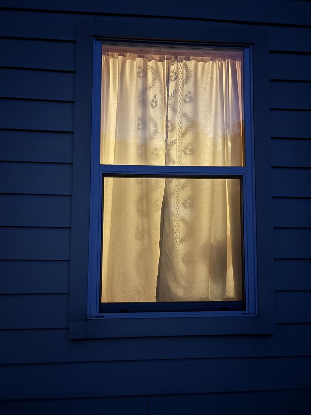 Customer photo review of Vintage Wavy Floral Embroidery Kitchen Curtains