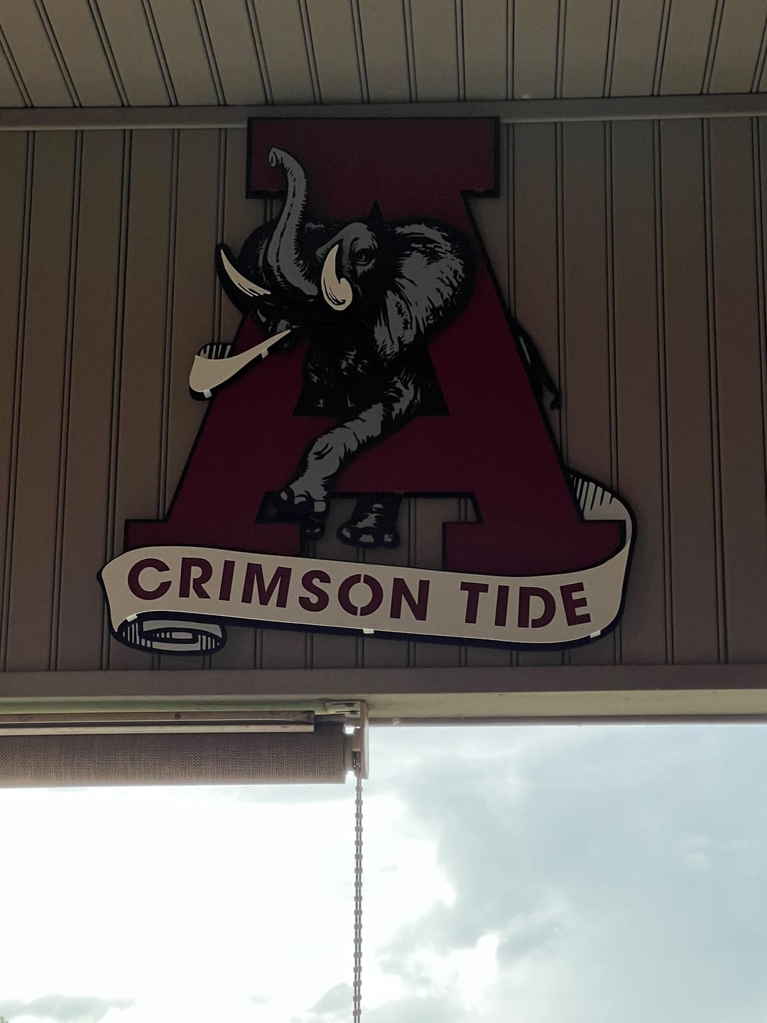 Customer photo review of Alabama Crimson Tide VAULT "Elephant thru A" 3D Metal Wall Art