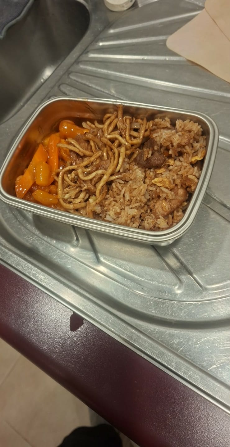 Customer photo review of Explorer Heating Lunchbox™ - Portable And Convenient