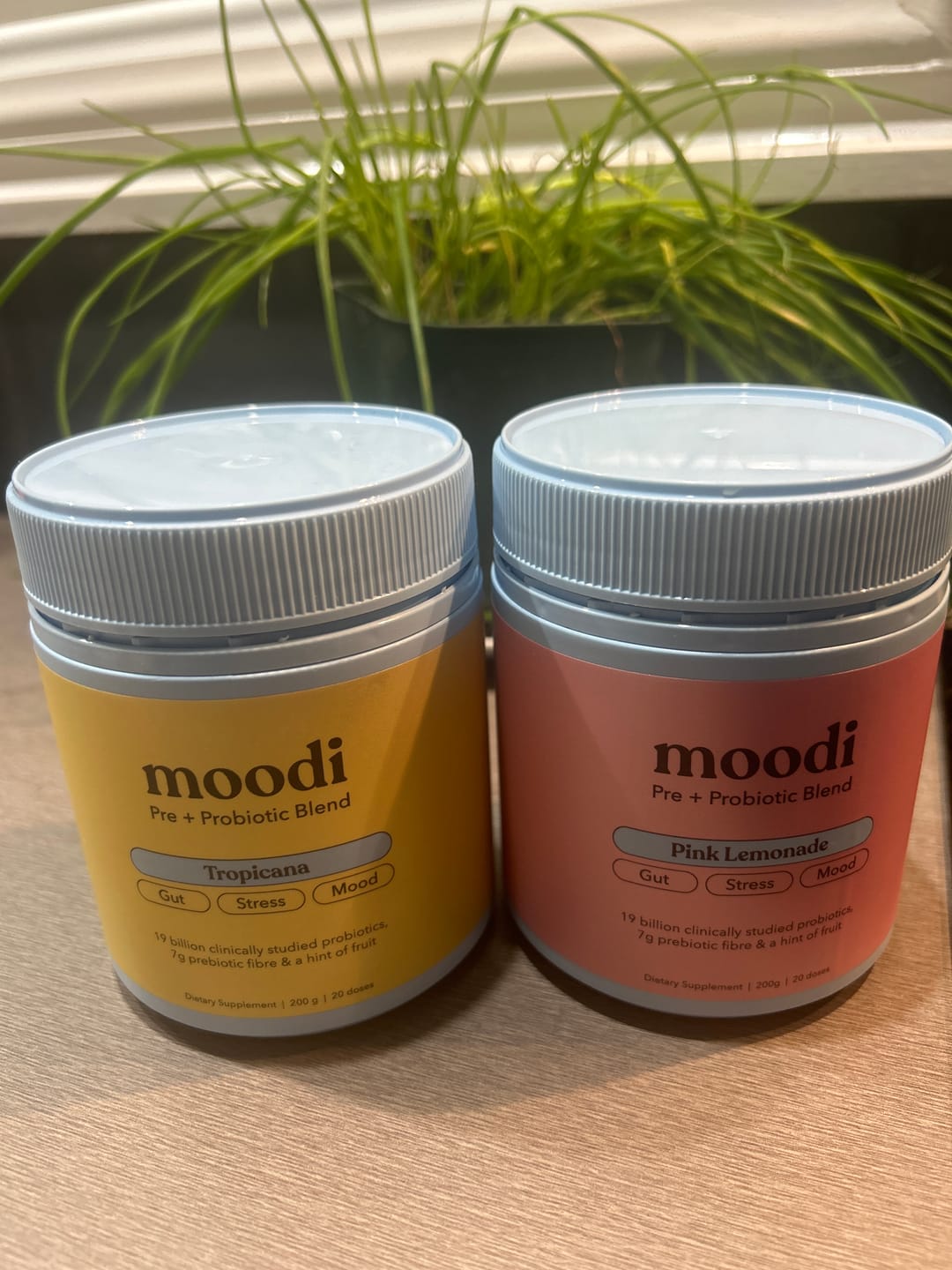 Customer photo review of Original Pre + Probiotic Bundle