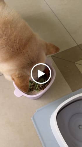顧客對ProClean™狗狗天然潔牙護齒配方的影片評價