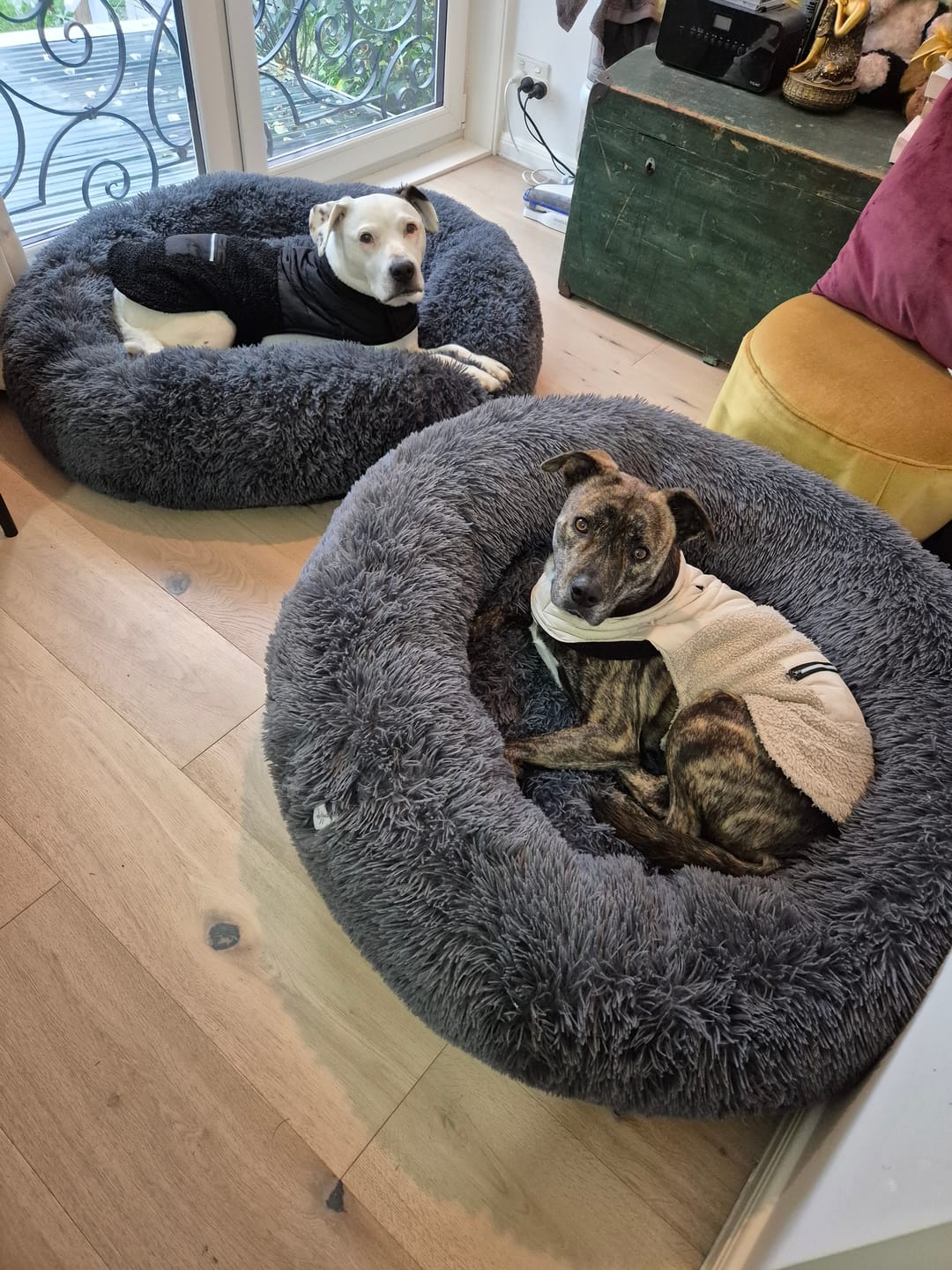 Customer photo review of Brooklyn® Deep Sleep Spare Covers