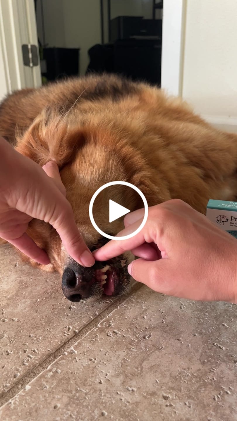 Customer video review of DENTAL STRIPS