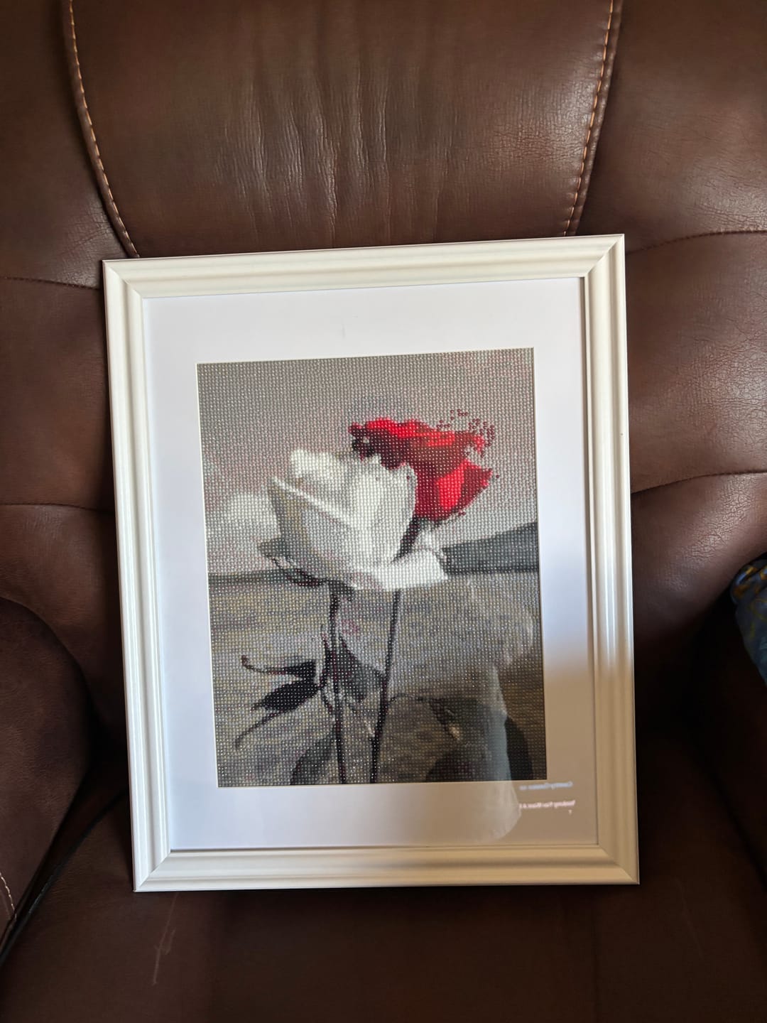 Customer photo review of Rose Picture Diy 5d Diamond Embroidery Cross Stitch Kits VM8911