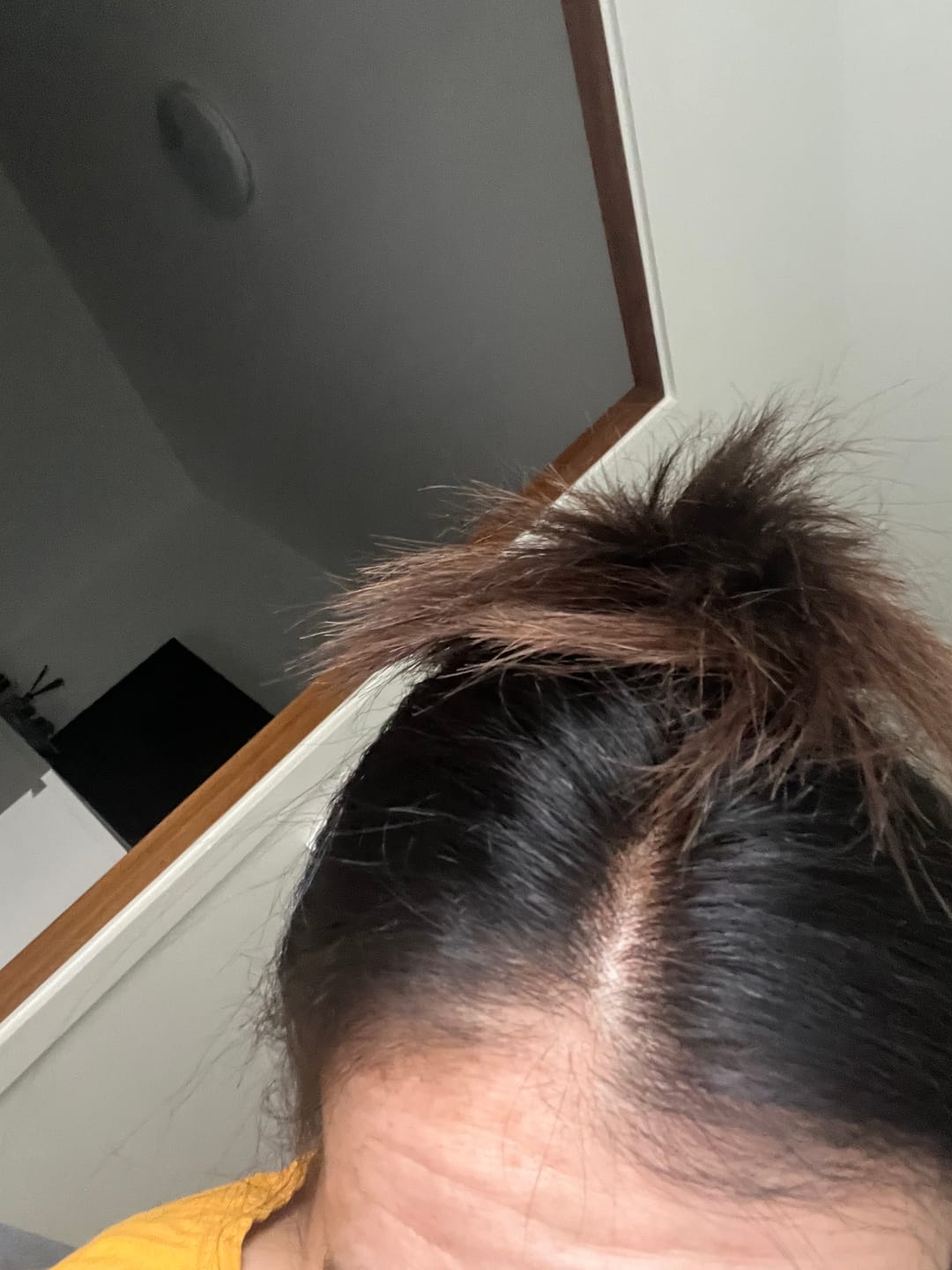 Customer photo review of PalmHair™ - Shampoing colorant instantané