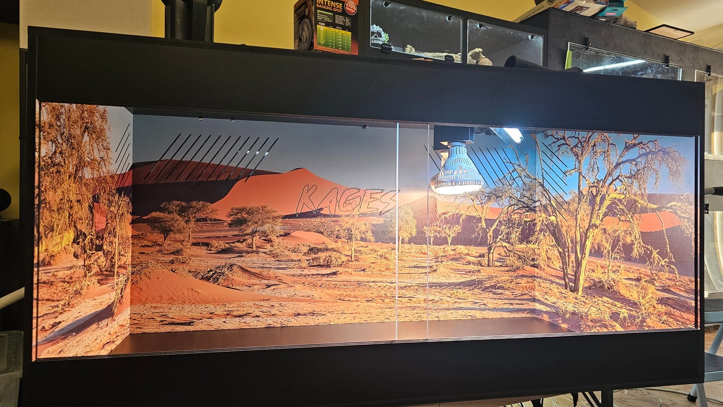 Customer photo review of 48"x24"x24" / 4'x2'x2' Premium PVC Reptile Enclosure