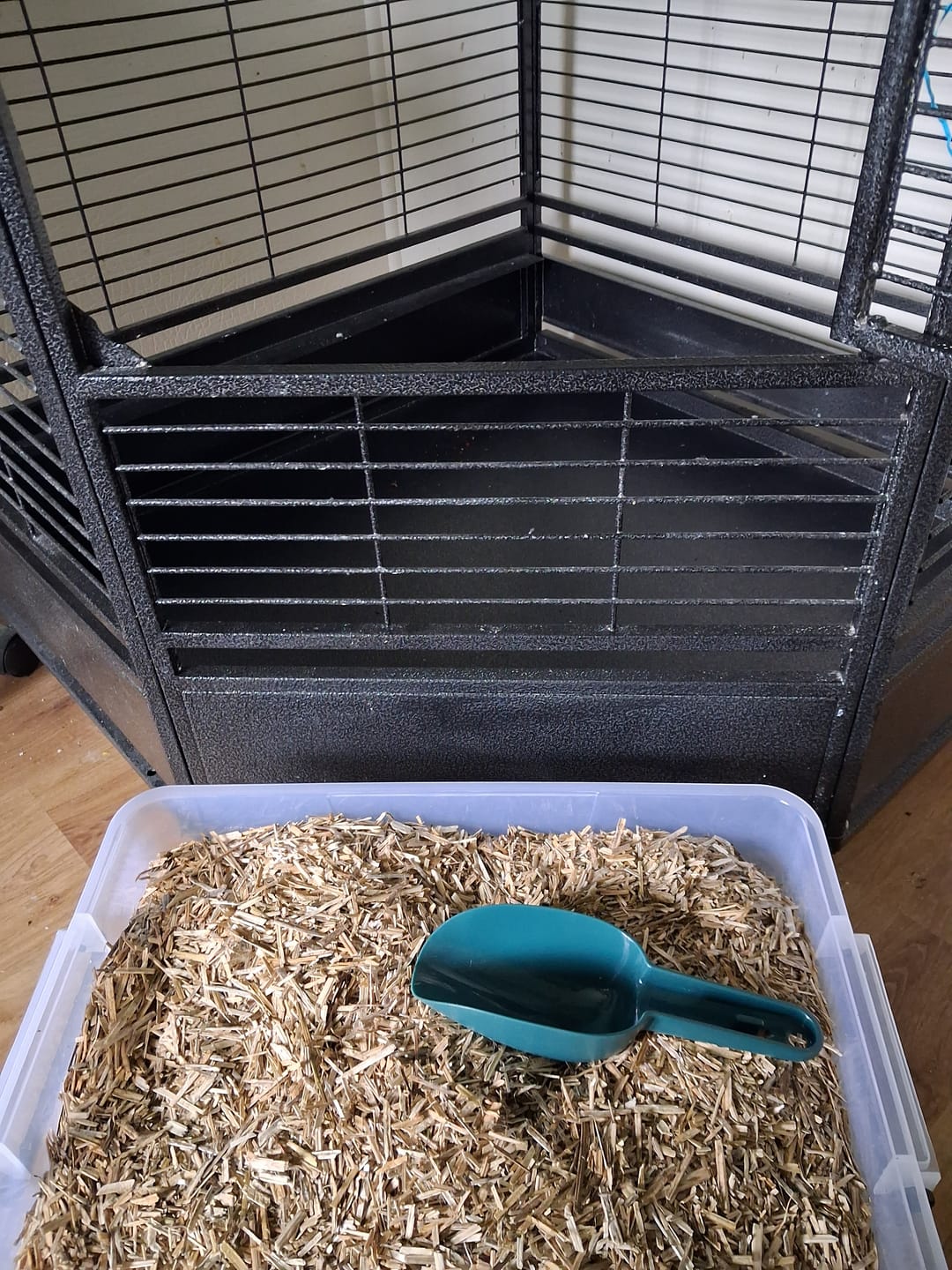 Customer photo review of Industrial Hemp Hurd Animal Bedding - Fine
