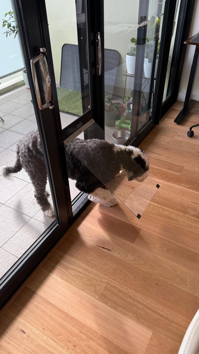 Customer photo review of Pet Door Insert – XL