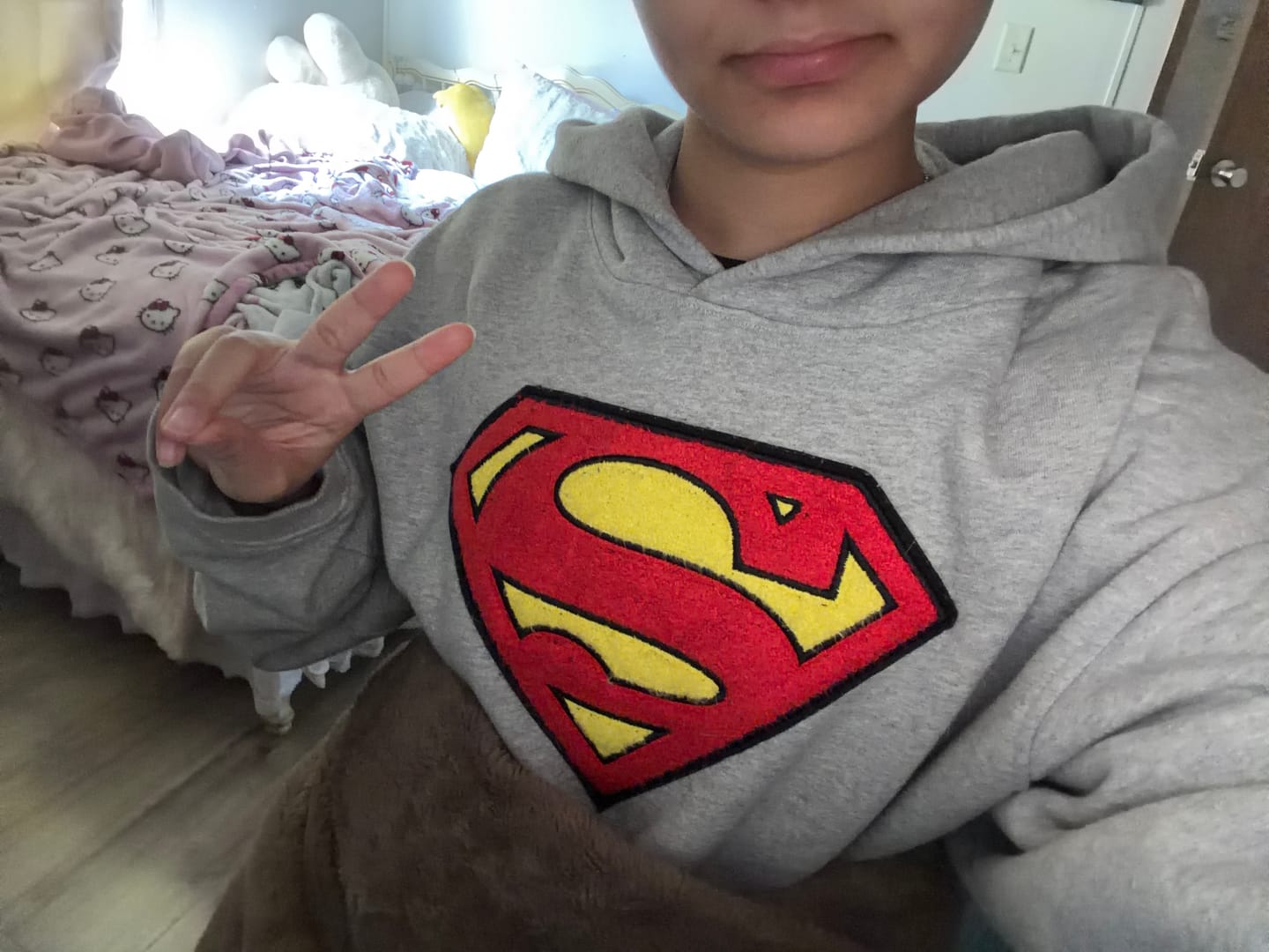 Customer photo review of 5079 - Superman Legacy Hoodies
