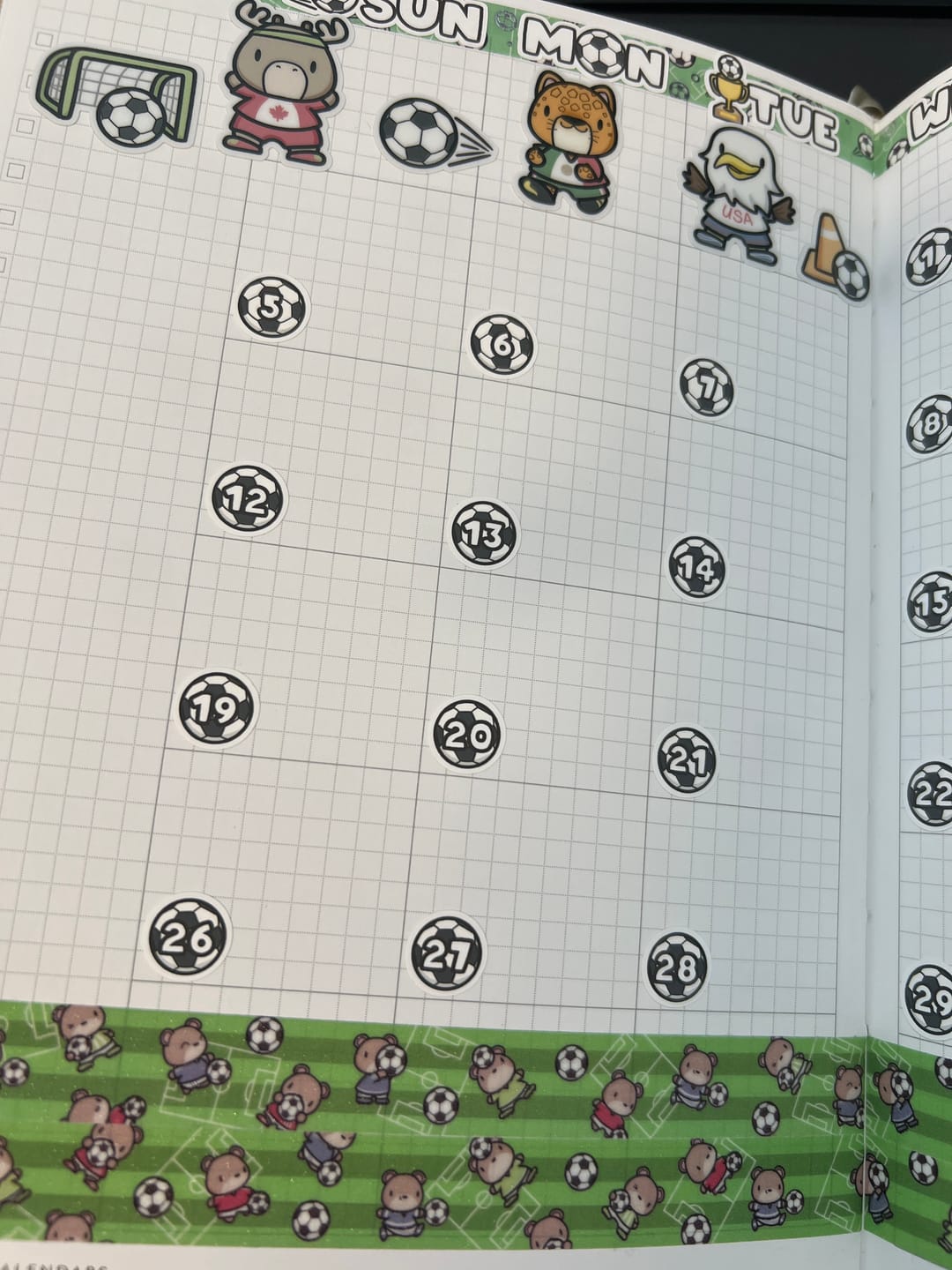 Customer photo review of Soccer Bears Days and Date Covers