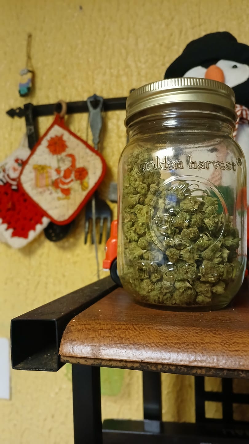 Customer photo review of True OG - Minis - 28 Grams - Indica