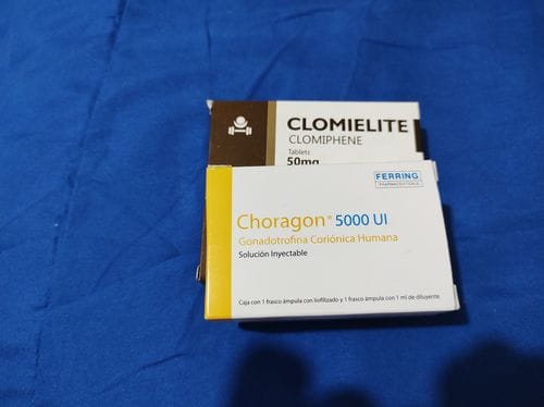 Customer photo review of Paquete Post-ciclo para principiantes o intermedios | Gonadotropina (HCG), & Clomifeno