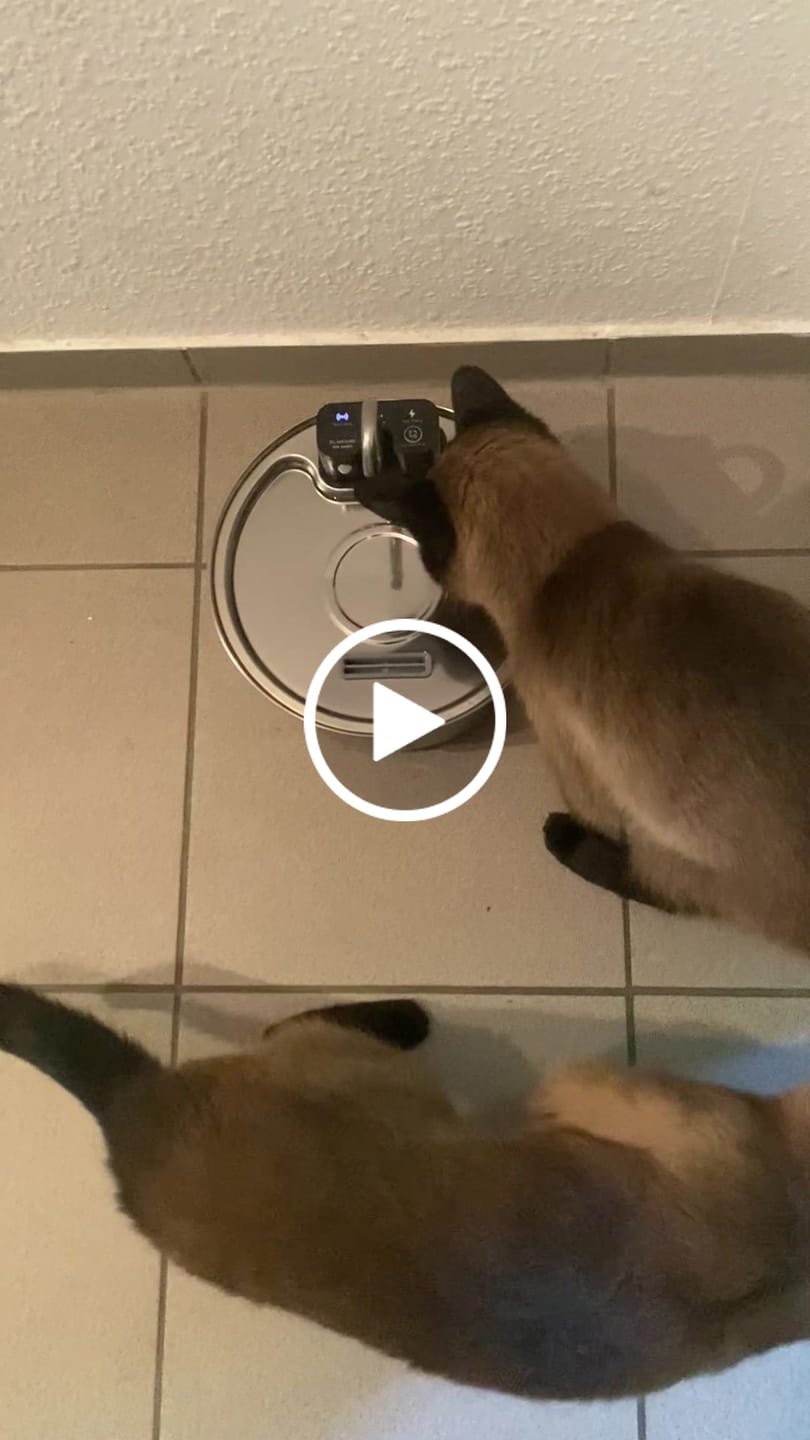 Customer video review of NordFlow 2.0 Katzenbrunnen