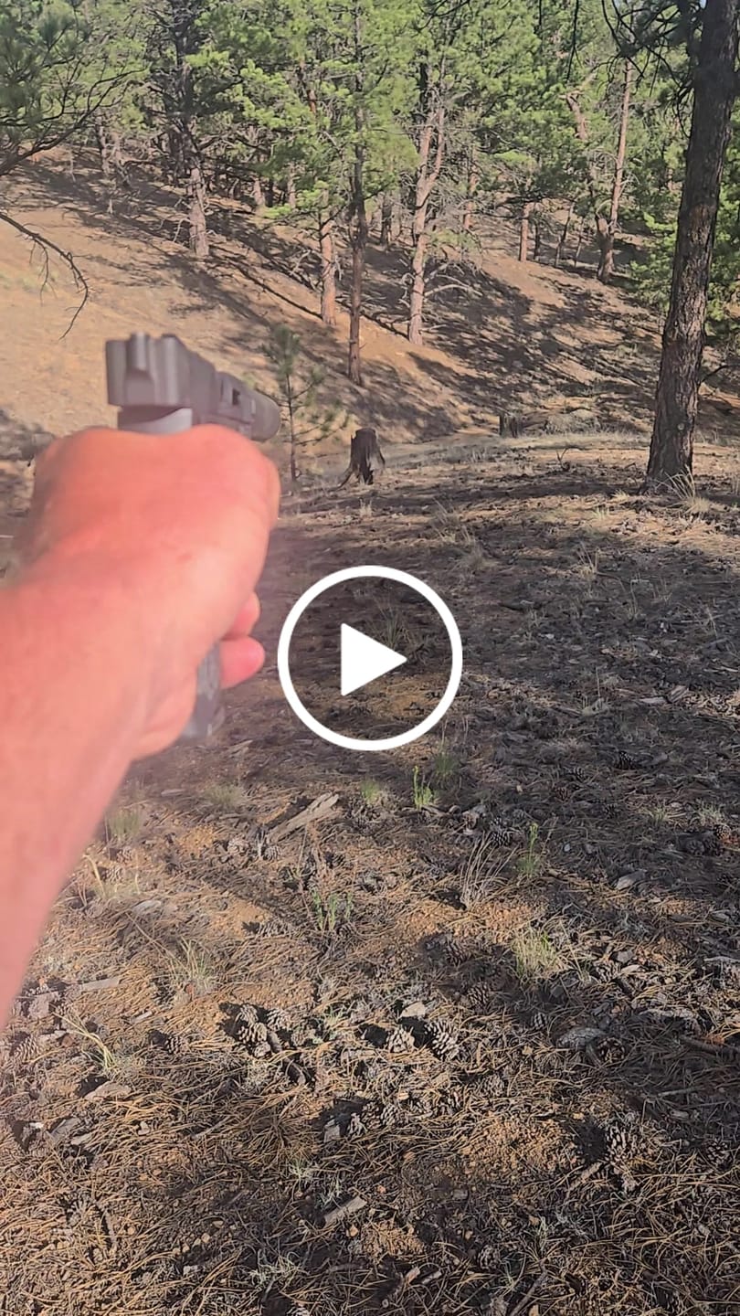 Customer video review of Freedom Trigger Taurus TX22 FRT | 22TY Forced Reset Trigger