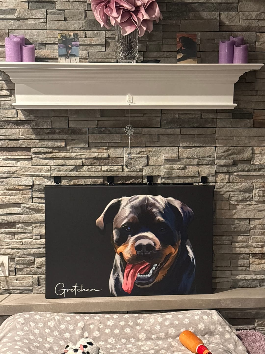Customer photo review of Pet Art Canvas Wrap