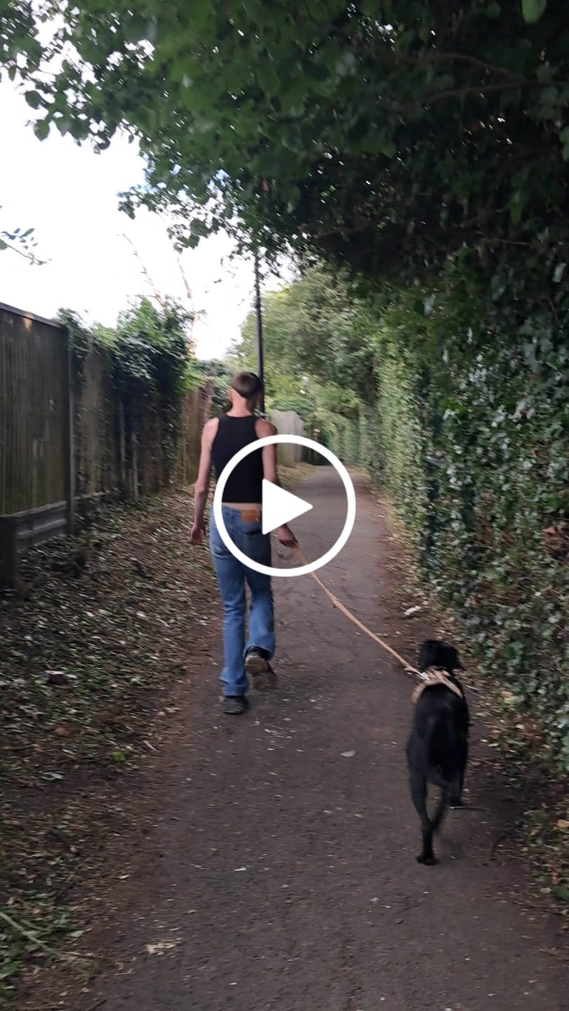 Customer video review of Training Double Ended Dog Lead | 2m Length -  Tan