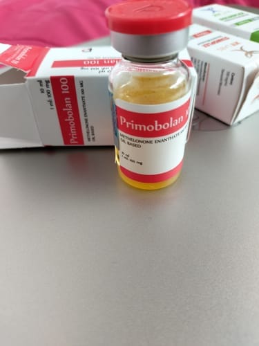 Customer photo review of PRIMOBOLAN | Primobolan (Metenolona Enantato) 100mg 10ml