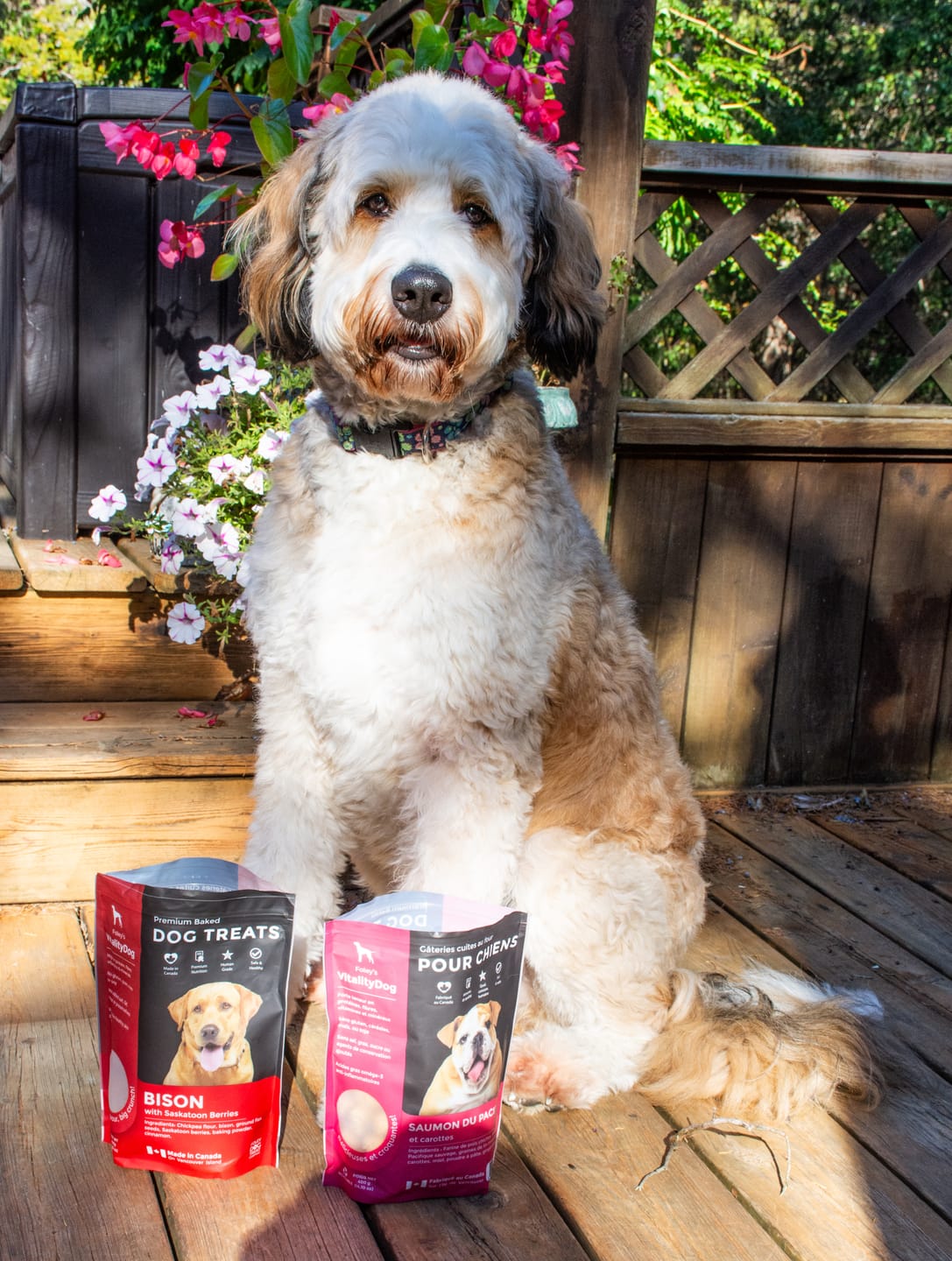 Customer photo review of VitalityDog - 7 Pack Bundle