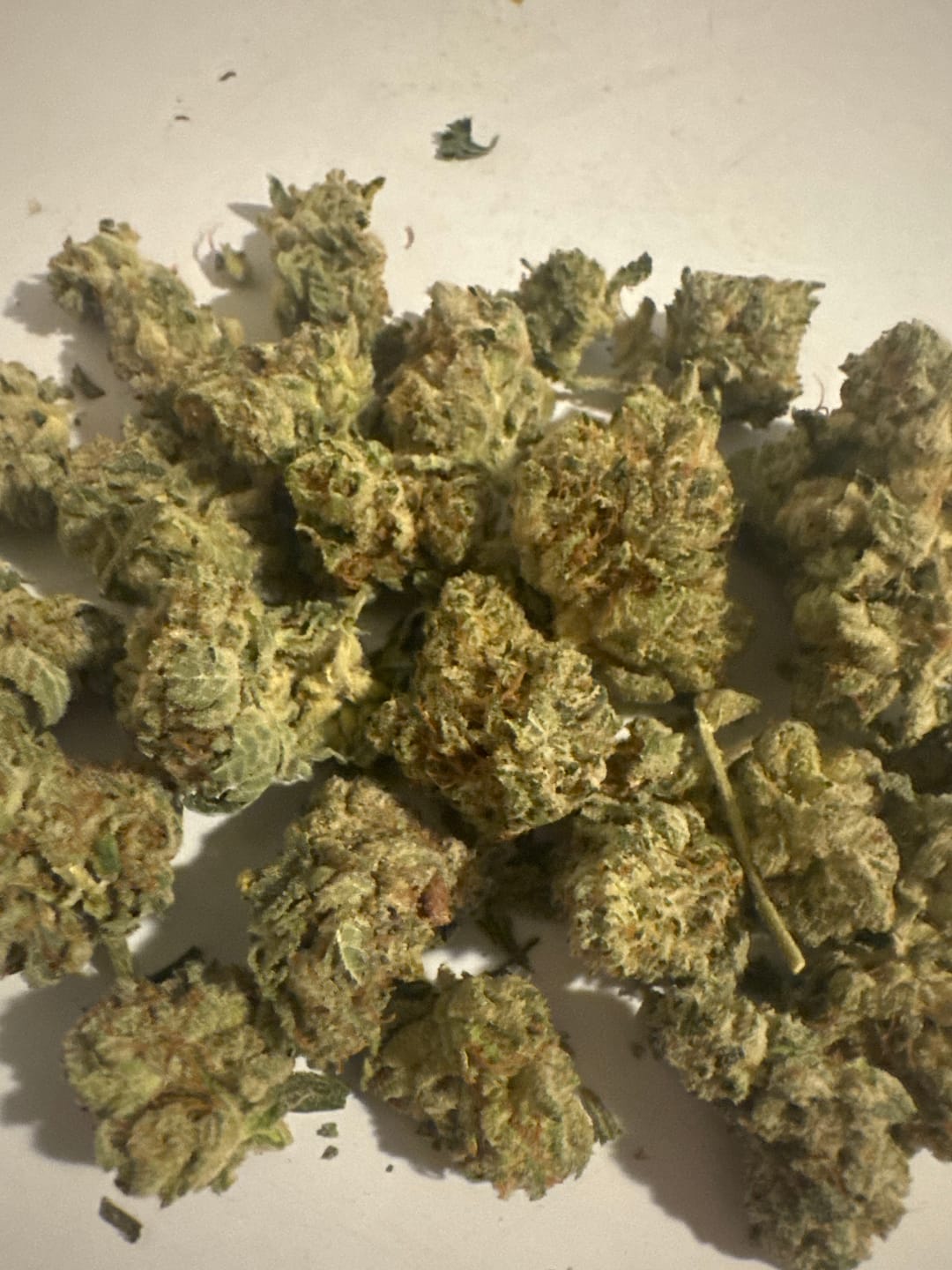 Customer photo review of Gorilla Glue Indoor - Bulk - Hybrid