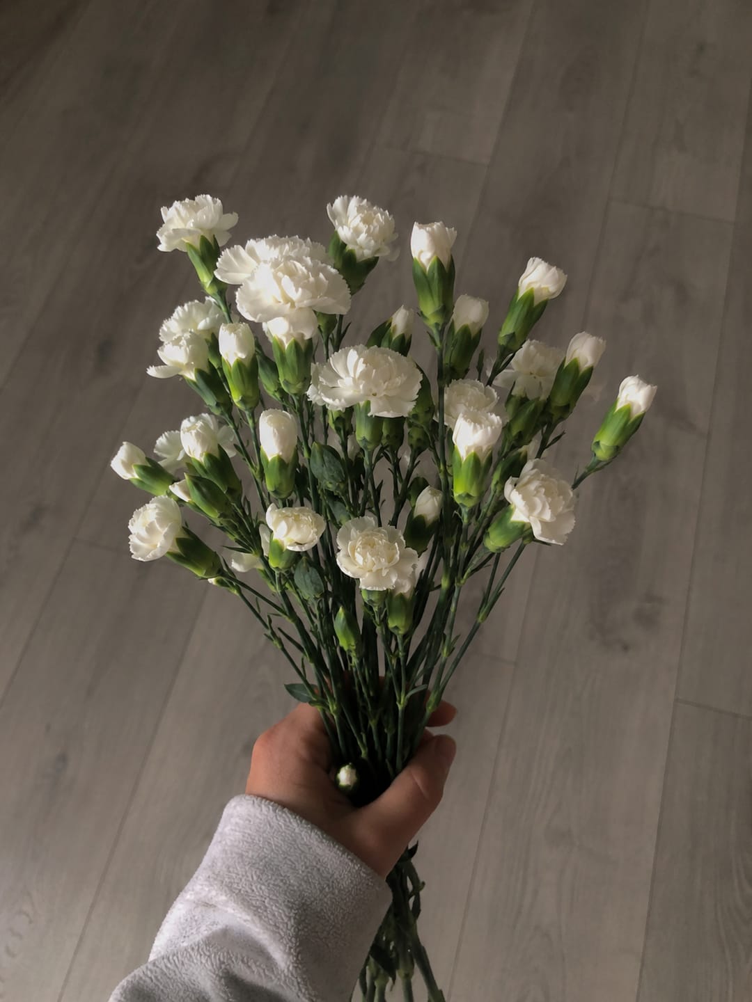 Customer photo review of Mini Clavel Blanco