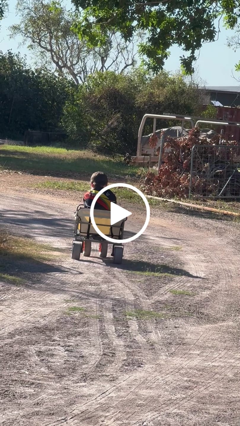 Customer video review of Nomad Hybrid Electric Heavy-Duty Camping Trolley