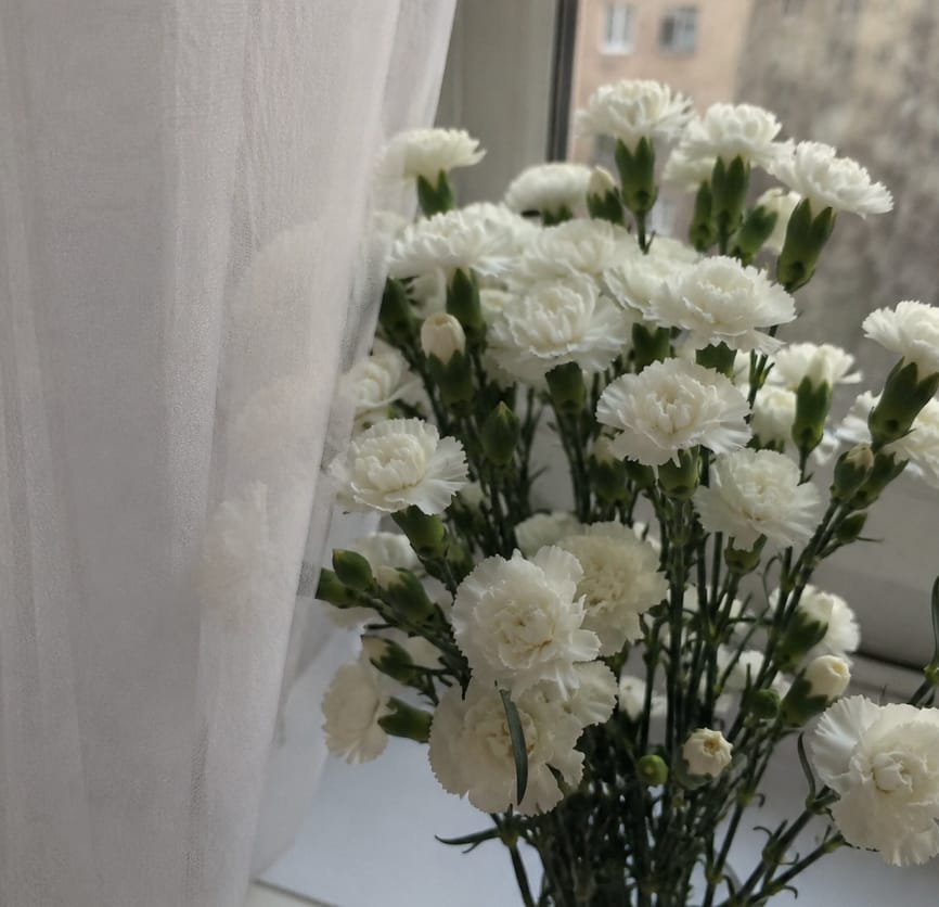 Customer photo review of Mini Clavel Blanco