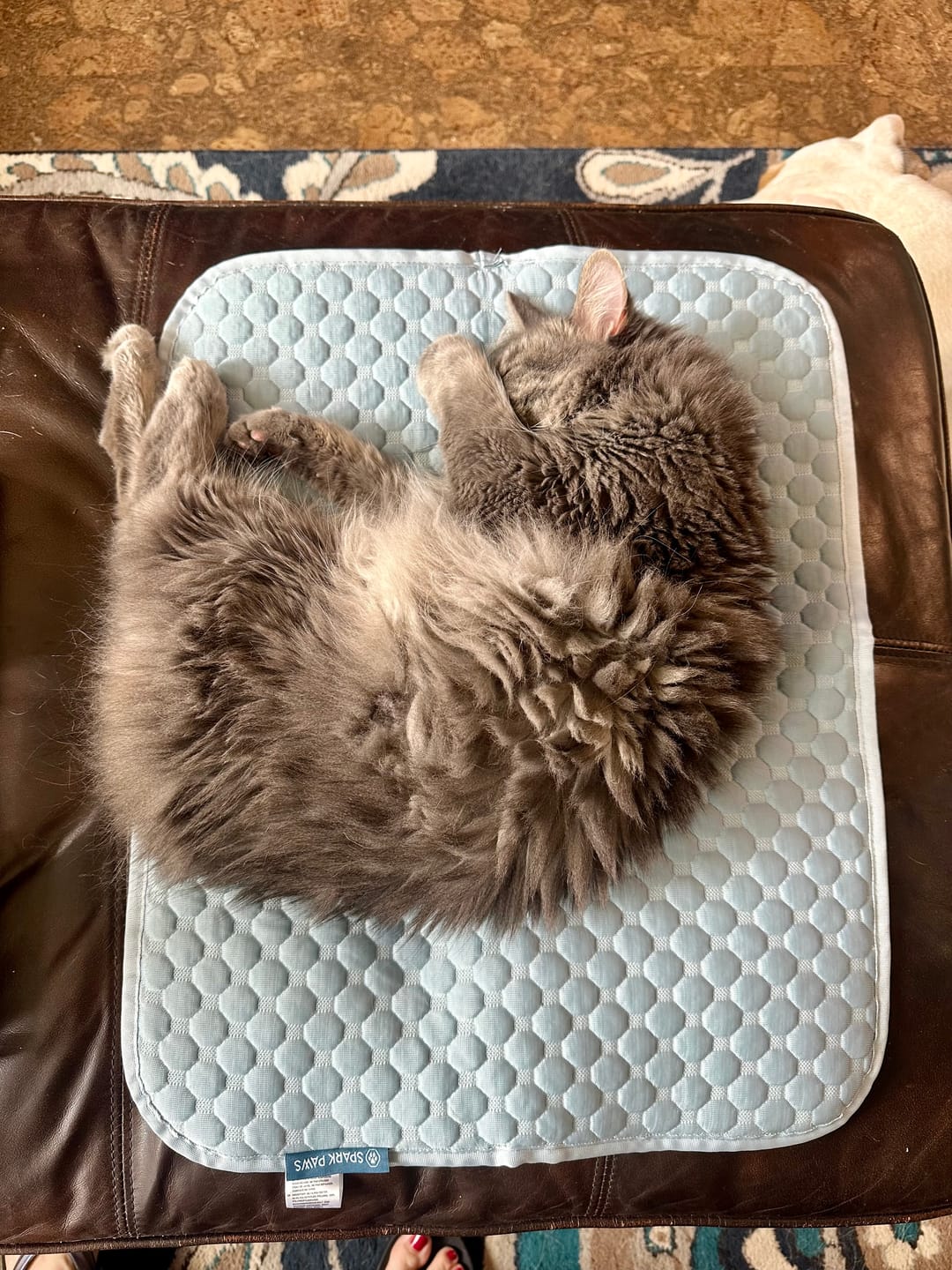 Customer photo review of Frostcore™ Cooling Mat - Ash Blue