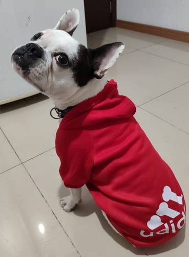 Customer photo review of Hoodie Adidog Perro