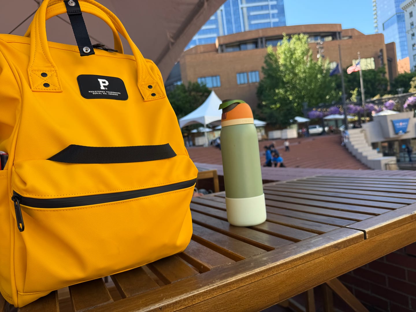 Customer photo review of Cascade Backpack - Standard