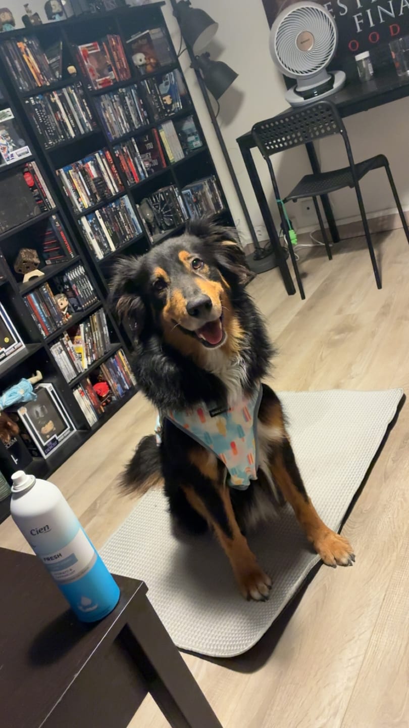 Customer photo review of Frostcore™ Cooling Mat