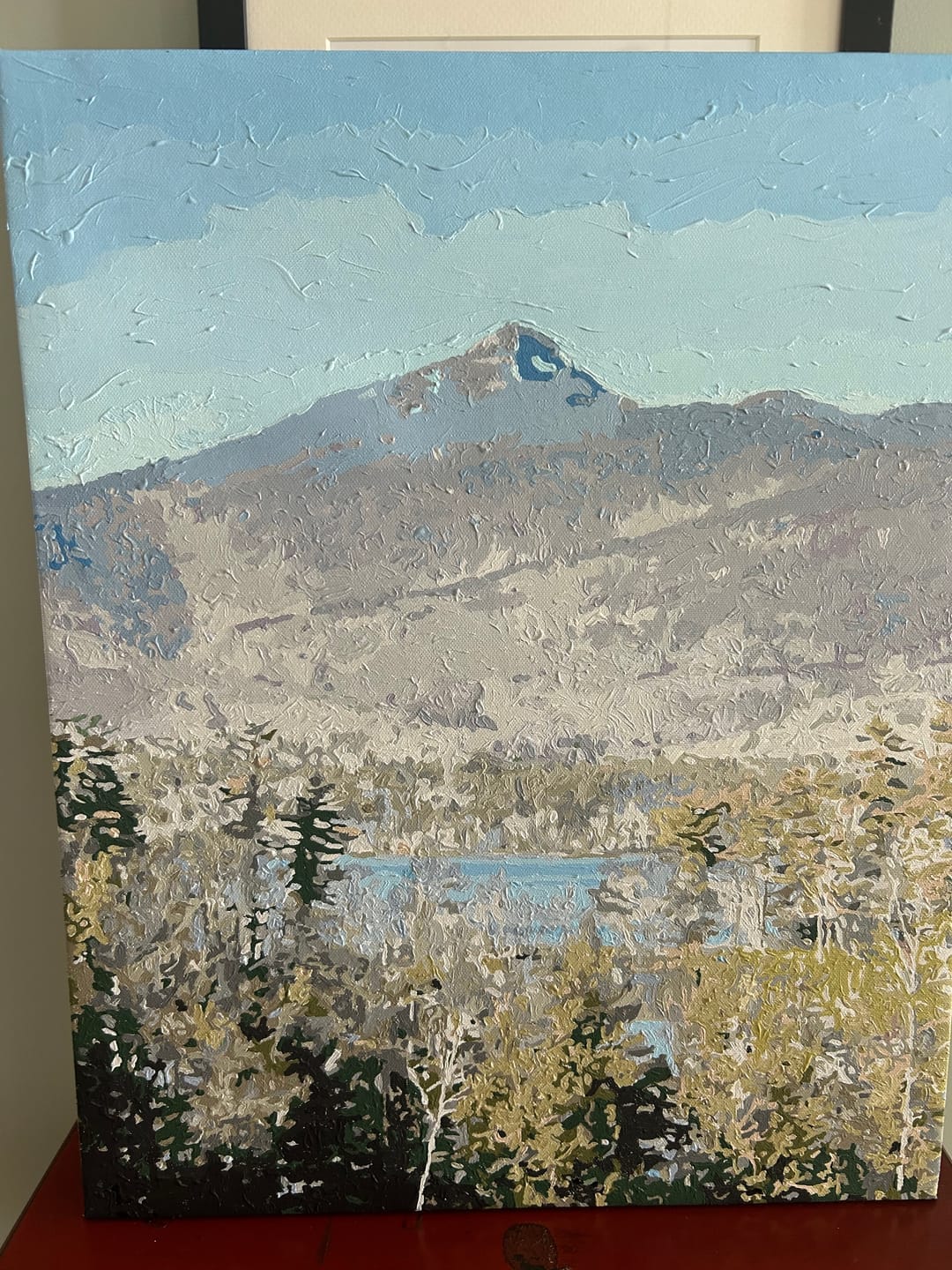Customer photo review of Custom Paint By Numbers - Turn Trip Memory into Art