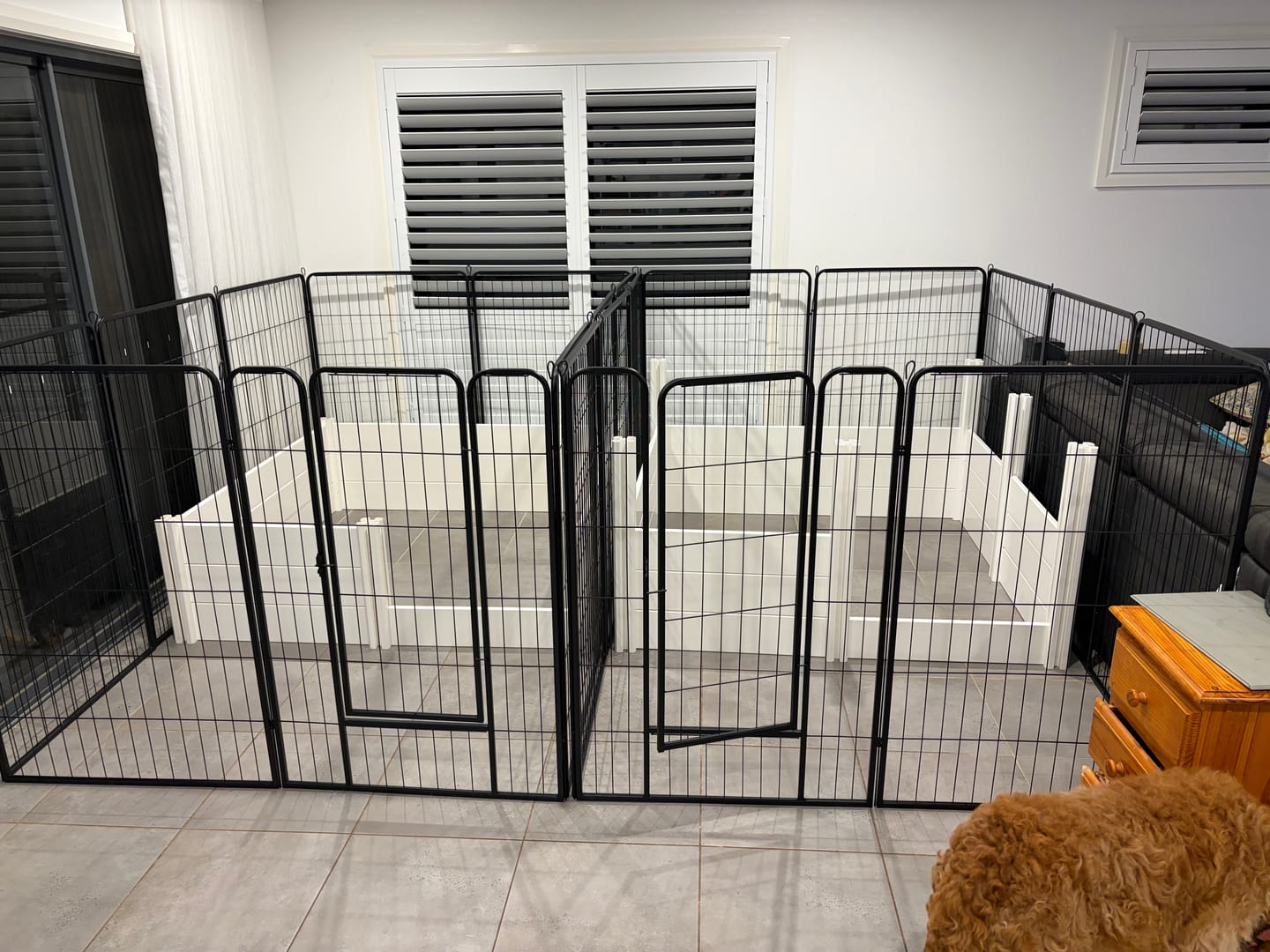 Customer photo review of 8 Panel Pet Dog Playpen