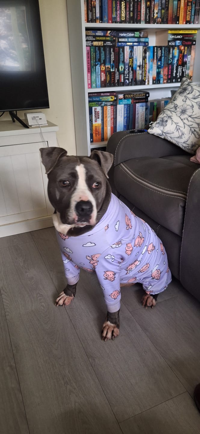 Customer photo review of Dog Pajama Prints