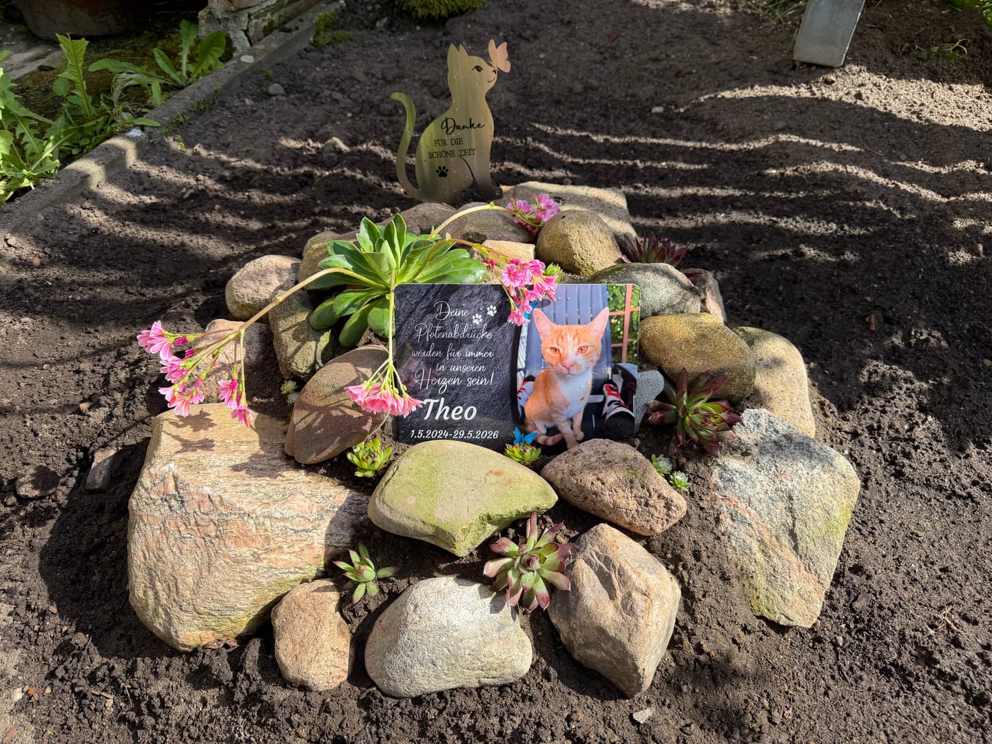 Customer photo review of Katzen Gedenktafel mit Foto & Spruch (UV- & Wetterfest)