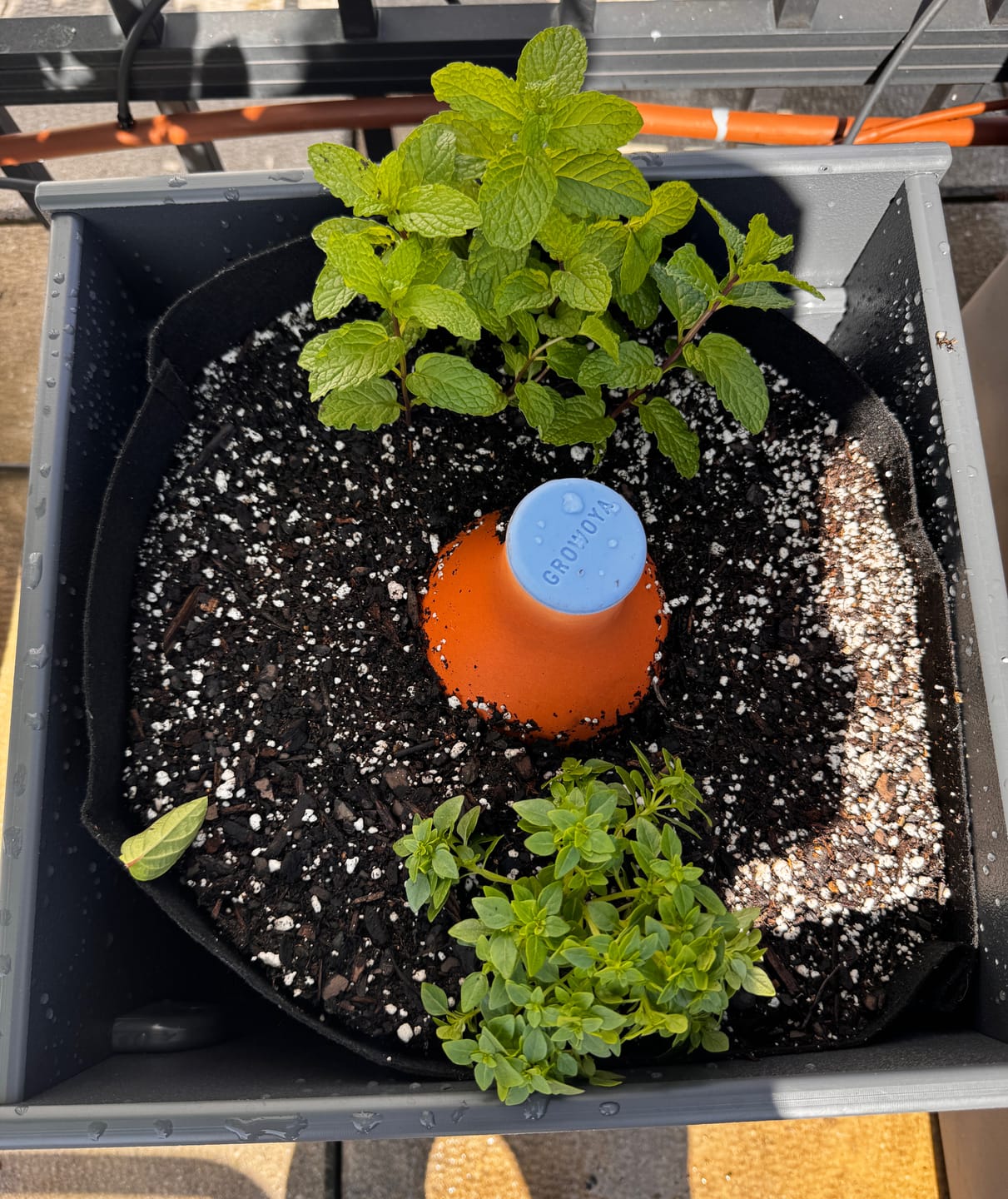 Customer photo review of Oya™ Watering Pot