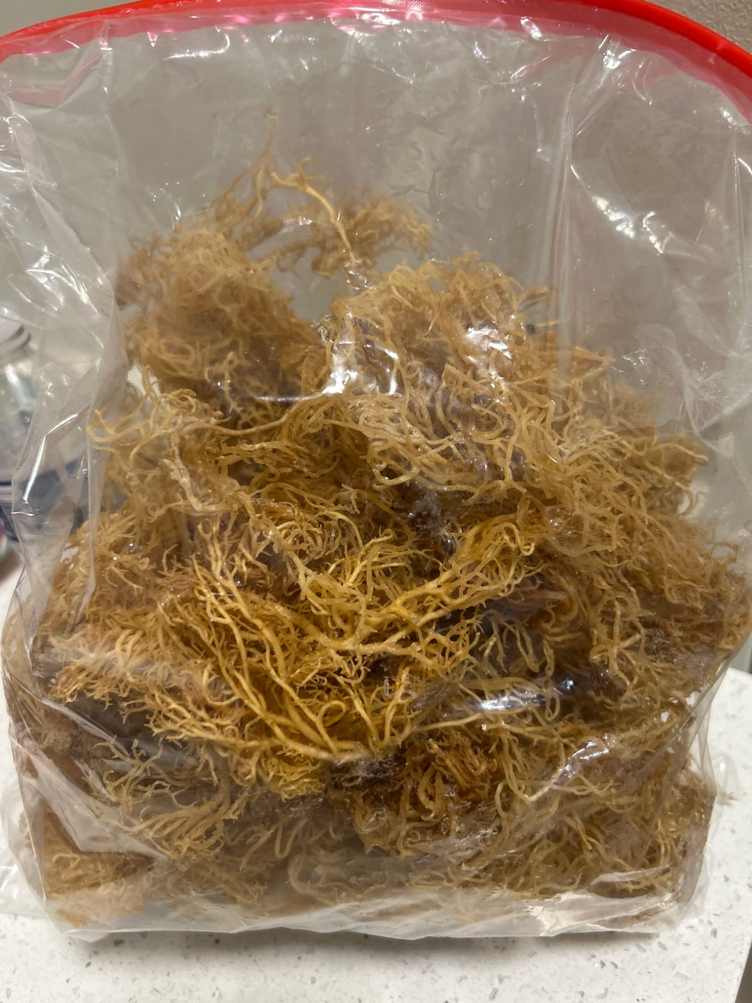 Customer photo review of $16 lb Sea Moss from the pristine waters of St. Lucia- wildcrafted