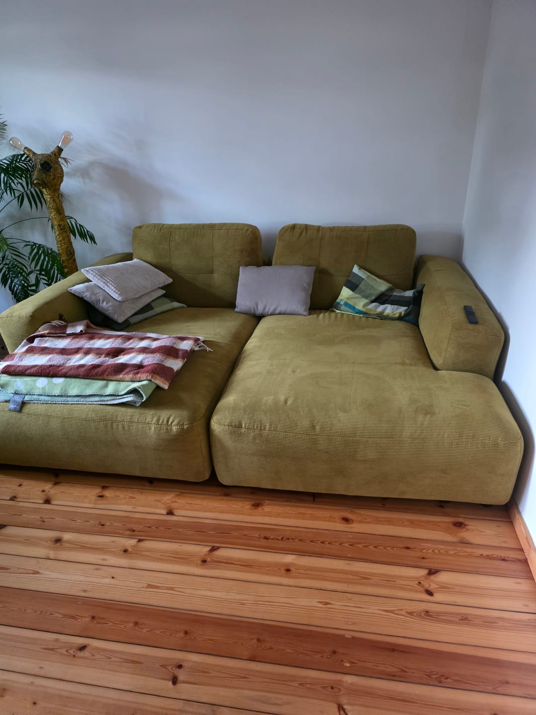 Customer photo review of Elly Bigsofa