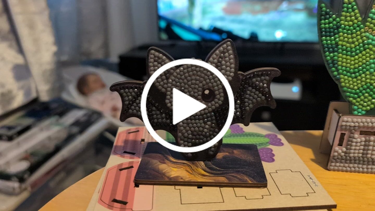 Customer video review of Wildlife Crystal Art Mystery Box