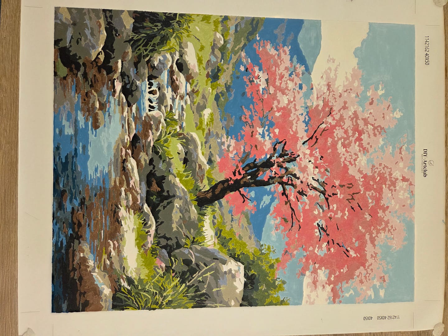 Customer photo review of Cherry blossom tree | Paint by Number